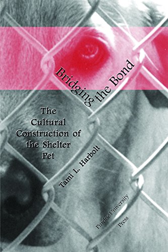 Bridging the Bond: The Cultural Construction of the Shelter Pet by Tami L. Harbolt