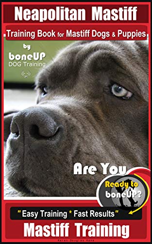 Bandogge Dog For Sale American Bandogge Mastiff Dog Breed