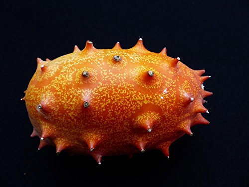 Quality Prints - Laminated 32x24 Vibrant Durable Photo Poster - Kiwano Fruit Horn Cucumber Prickly Horn Melon Cucumis Metuliferus Pumpkin Cucurbitaceae Cook Food Eat Yellow Vitamins Exotic Tropical