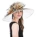 SAFERIN Women's Organza Church Kentucky Derby Fascinator Bridal Tea Party Wedding Hat (GZ-Wide Brim Champagne Dot)