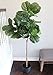 5 Foot Fiddle Leaf Fig Tree - Realistic Artificial Home Decor