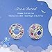 NINAQUEEN 925 Sterling Silver Pandöra Charms Summer Rainbow Birthstone Bead for Pandöra Bracelets Pendant Jewelry Anniversary Valentines Day Birthday Gifts for Women Wife Sisters Daughter