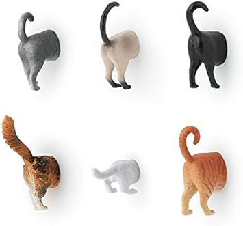 Amazon.com: Kikkerland Cat Butt Magnets 