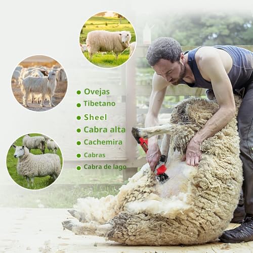 1000W Sheep Clipper, Electric Shearing Machine with 6 Adjustable Speed, Electric Hair Clipper with Carrying Case, Electric Shearing Machine for Sheep Sheep Alpacas Goats