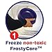 FrostyBowlz 28-Ounce Chilled Dog and Cat Bowl