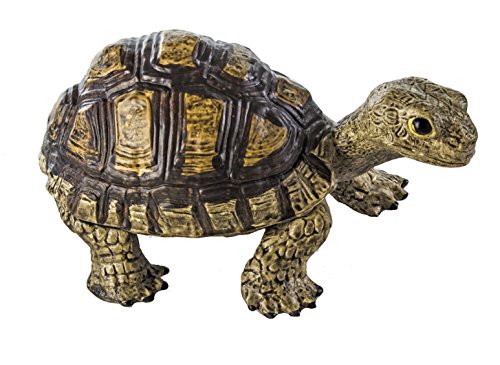Safari Ltd  Incredible Creatures Tortoise