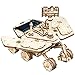 ROKR 3D Wooden Puzzle-Model Car Kits for Adults-Wood Puzzles Adult-Wood Model Kit-Mechanical Gears Constructor Kits-3D Assembly Toy-Best Gifts for Adults & Teens(Spirit Rover)