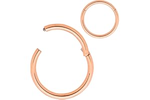 365 SLEEPERS 316L Surgical Steel Hypoallergenic Nose Rings 20G 18G 16G 14G 12G 10G 8G 6G Septum Jewelry Hinged Segment Ring B