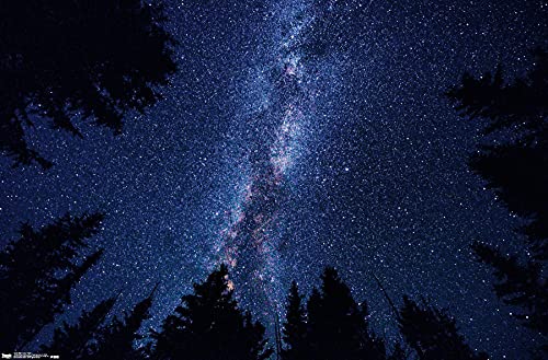 Trends International Milky Way At Night Wall Poster, 19L x 13W, Premium Unframe…