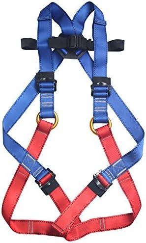 Full Body Climbing Harness Kids,Flower Sea9 Climbing Harness Safe Belts Guide Harness for Mountaineering Outward Band Expanding Training Caving Rock Climbing Rappelling Equip (L(13years up))
