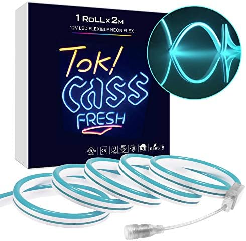 LED Neon Light, DC 12V Flexible LED Neon Sign Strip Lights Shaped Decor Light, 120 LEDs/M, Waterproof LED Rope Light for Indoor Outdoor Ambient Commercial Lighting Decoration (Ice Blue)