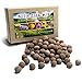 US Native Wildflower Seed Ball Kit. Makes 100 wildflower seed bombs for pollinators. (Eastern US)