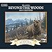 Lang January to December, 13.375 x 24 Inches, Perfect Timing Beyond The Woods 2015 Wall Calendar by Michael Sieve (1001781)