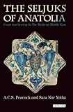 The Seljuks of Anatolia: Court and Society in the Medieval Middle East