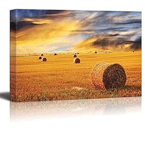 Canvas Prints Wall Art - Golden Sunset Over Farm Field with Hay Bales - 12" x 18"