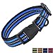 Mile High Life Night Reflective Double Bands Nylon Dog Collar