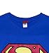 Ladies Blue Superman Logo T Shirt, Medium