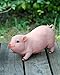 Agirlgle Animal Garden Statue - Cute Pig - Funny Outdoor Sculpture Resin Lawn Ornaments Decor - Best Indoor Outdoor Figurines for Patio Yard and House