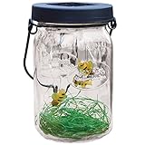 Echo Valley Solar Firefly LED Glass Lantern - Flickering Lightning Bug Mason Jar Light