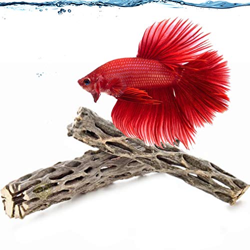 SunGrow Betta Wood Logs, 6 Inches, Attractive and Nutritious Cholla Wood Treat for Freshwater Fish, Mimics Native Blackwater Environment, Provide Hiding Space, Functional Aquarium Decor, 2 Pieces