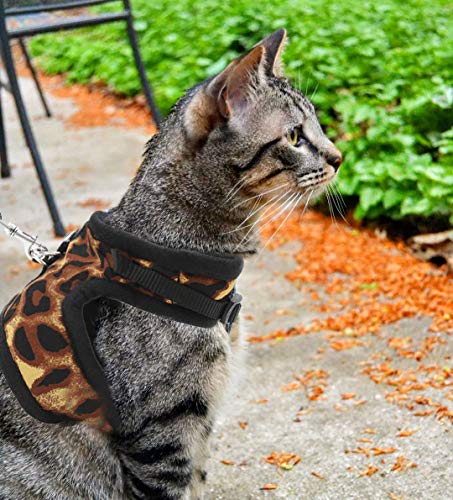 BoomBone Escape Proof Cat Harness and Leash Medium - Soft Mesh Kitten Vest Harness for Walking