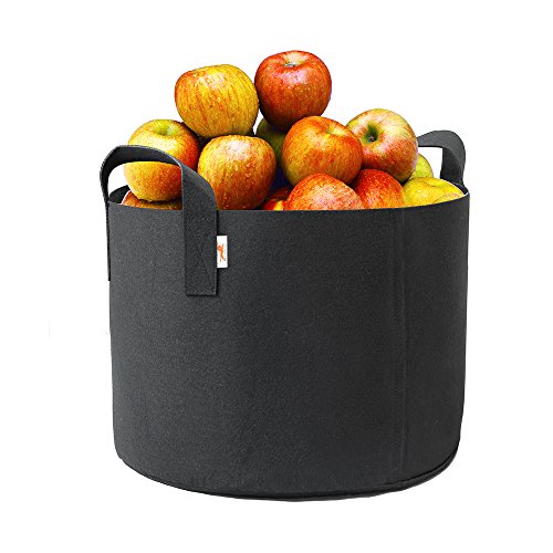 4 HONEST+OUTFITTERS+Container+Aeration+Handles