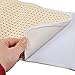 Whiidoom Elastic Ostomy Hernia Belt for Waist Abdominal with Stoma Opening (L, Beige)