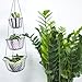 MALMO 3 Tier Wire Hanging Basket (black)