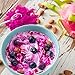 MiralandBerry Miracle Fruit , Freeze Dried