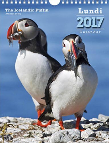 Icelandic Puffin Calendar 2017