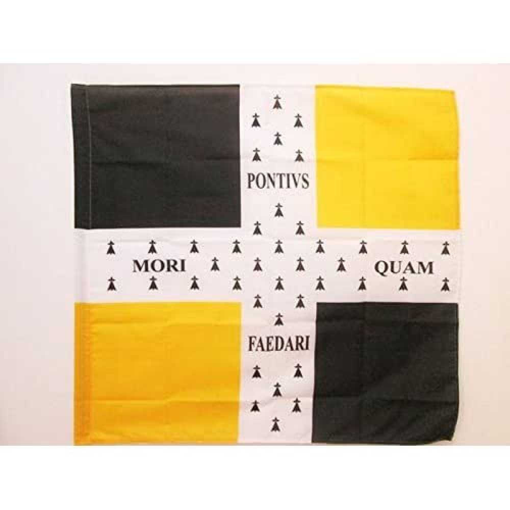 AZ FLAG French Empire Infantry Regiment Bretagne 1757 à 1791 Flag 3' x 3' for a pole - Army of France flags 90 x 90 cm - Banner 3x3 ft with hole