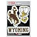 Fanmats NCAA Wyoming Cowboys Team Decal, 3-Pack, Brown, One Size (61072)