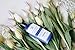 Mineral Sunscreen Lotion by Nurture My Body | SPF 32 - All-Natural, EWG