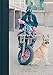Urban Dirt Bikers (Tales From The City) by 