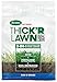 Scotts Turf Builder Thick'R Lawn Sun and Shade, 12 lb. - 3-in-1 Solution for Thin Lawns - Combination Seed, Fertilizer and Soil Improver for a Thicker, Greener Lawn - Covers 1,200 sq. ft. primary