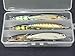wLure Minnow Crankbait for Bass Fishing Bass Lure Jerkbait Fishing Lure (HM600KB, with Tackle Box)