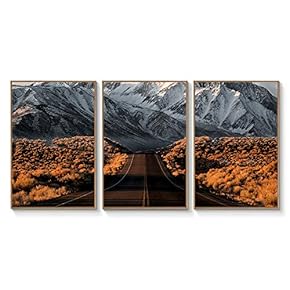 Floating Framed for Living Room Bedroom Landscape Gorge...