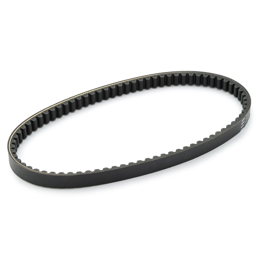 Daytona Daytona Reinforced V Belt Dio110 75788 | Desertcart Brunei