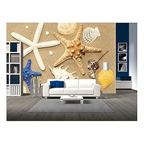 Shells and Starfish on Beach on Sand Background Abstract - Removable Wall Mural | Self-Adhesive Large Wallpaper - 66x96 inches