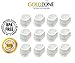 GoldTone Brand Replacement Pet Dog and Cat Ceramic Fountain Water Filters Compatible with Drinkwell Avalon, Drinkwell Pagoda & Sedona Pet Fountains (12 Pack) + Descaler (12 Water Filters)