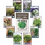 Sustainable Seed 10 Variety Culinary Herb Seed Collection - 100% NON GMO Heirloom Basil, Chives, Cilantro, Dill, Lavender, Oregano, Parsley, Rosemary, Sage, Thyme for Planting an Heirloom Herb Garden