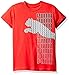 PUMA Big Boys' Graphic Tee, Star Red Cat, Large (14/16)