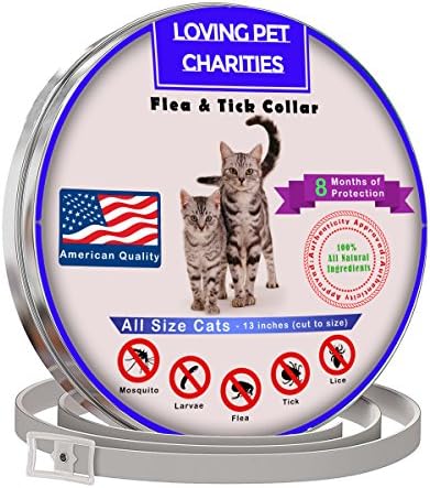 Flea Collar For Cats - Tick Collar For Cats - 100% Quality Flea And Tick Prevention For Cats And Kittens - 8 Months Protection - One Size Fits All – Waterproof and Hypoallergenic Flee Repellent