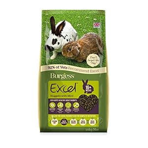 Burgess Excel Nuggets with Mint Adult Rabbit Food, 10 kg