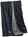 PUMA Big Boys' Form Stripe Short, Charcoal, X-Large