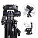 Mini Tripod - Camopro Portable Desktop Mini Tabletop Tripod for SLR DSLR Camera iPhones Smartphones Spotting Scope Binoculars and Camcorder with 3-Way Head, Quick Release Plate and Carrying Bag