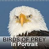 Birds Of Prey In Portrait 2020: Birds Of Prey In Portrait - Bird Photo Calendar by birdimagency.com (Calvendo Animals) by
