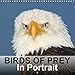 Birds Of Prey In Portrait 2020: Birds Of Prey In Portrait - Bird Photo Calendar by birdimagency.com (Calvendo Animals) by