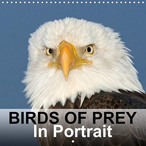 Birds Of Prey In Portrait 2020: Birds Of Prey In Portrait - Bird Photo Calendar by birdimagency.com (Calvendo Animals) by birdimagency.com