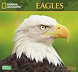 Eagles National Geographic 2016 Wall Calendar by 